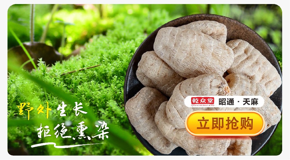 昭通天麻
